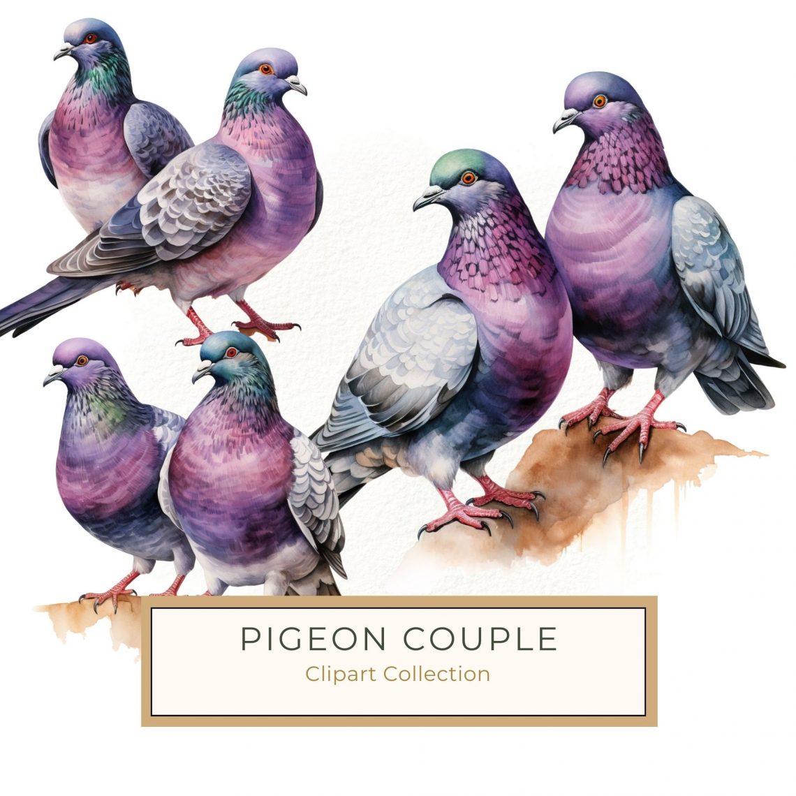 Vibrant Watercolor Pigeon Pair - Digital Art for Crafting and Decor, watercolor pigeons, bird clipart, digital craft art, nature illustration, DIY crafting,1540114730