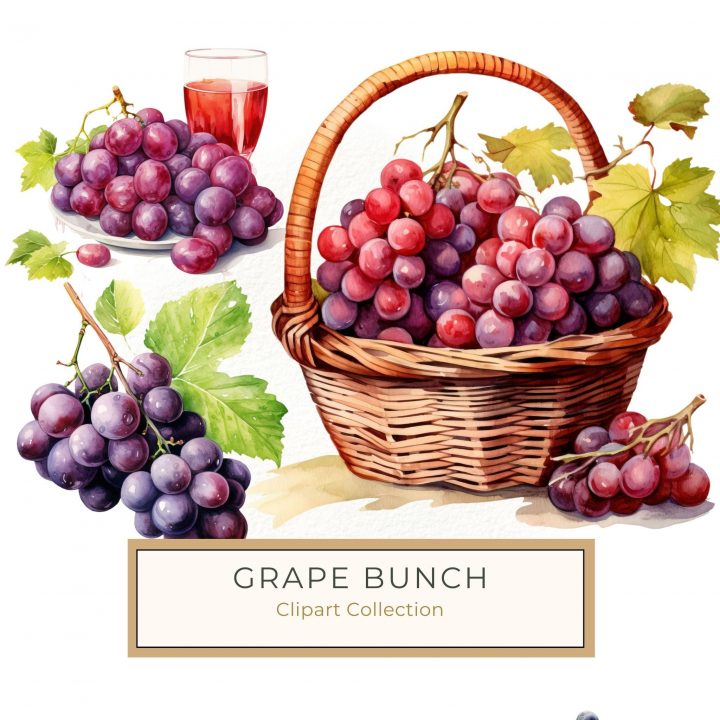 Watercolor Grape Clipart - Vibrant Purple Fruit Illustration for Crafts, watercolor grapes, grape clipart, fruit illustration, purple grapes art, digital fruit,1541500364