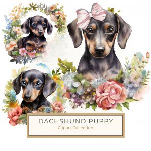 Adorable Dachshund Puppy with Floral Watercolor Design for Digital Crafts, dachshund clipart, floral watercolor, puppy digital art, card making design, printable craft art,1554351813