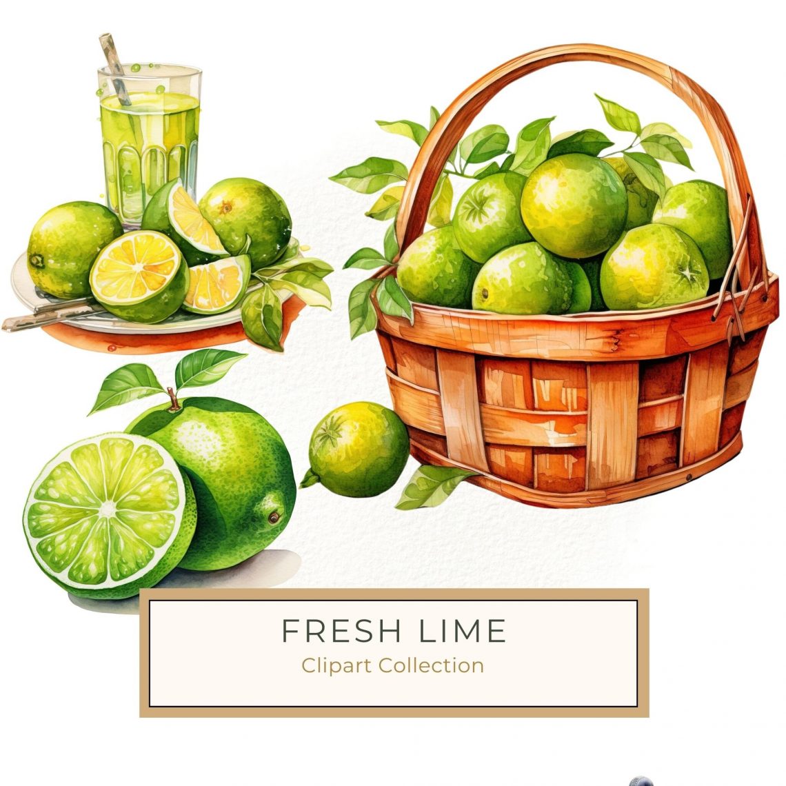 Vibrant Watercolor Limes Illustration - Citrus Digital Wall Art & Clipart, watercolor lime, citrus clipart, lime wall art, tropical digital print, summer themes,1555681967