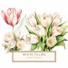 Watercolor Tulips Bouquet Illustration - Perfect for DIY Crafts & Decor, watercolor tulips, floral illustration, spring flowers, digital bouquet, pink and yellow flowers,1556987753