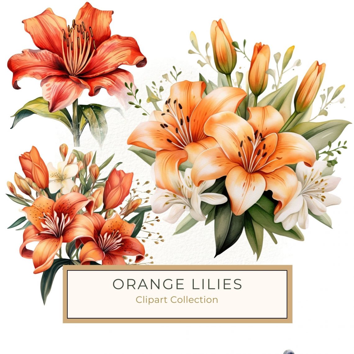 Elegant Watercolor Tiger Lily Bouquet - Perfect for DIY Crafts and Home Decor, watercolor flowers, tiger lily art, floral clipart, DIY crafts, scrapbooking design,1557035633