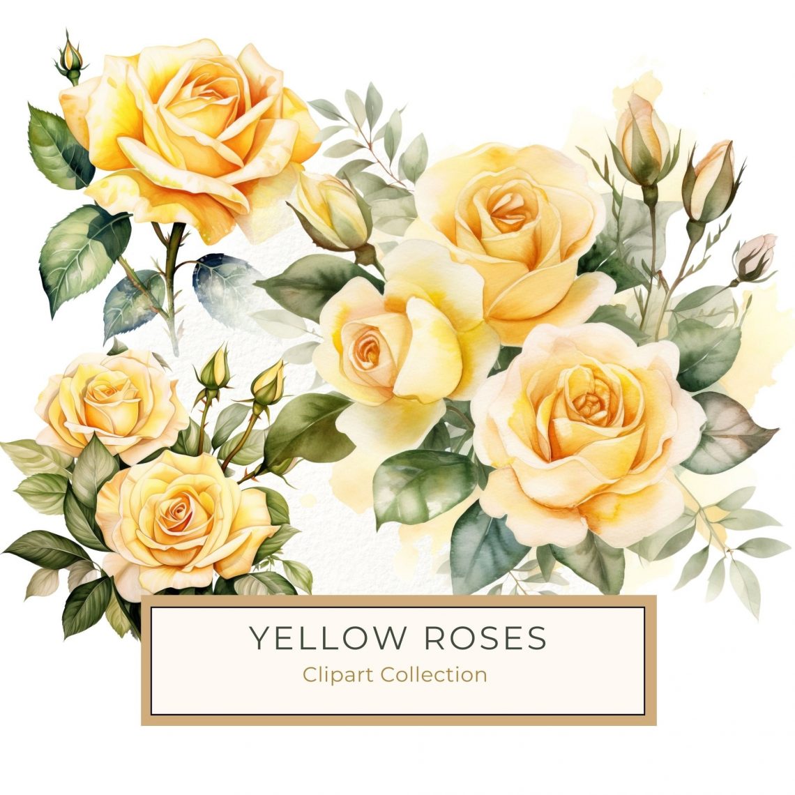 Elegant Yellow Rose Watercolor Clipart for DIY Crafts & Projects, yellow rose watercolor, floral clipart, rose digital art, DIY crafting, watercolor flower art,1557096025