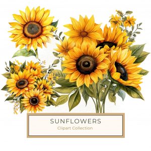 Vibrant Sunflower Watercolor Clipart for DIY Projects and Crafts, sunflower clipart, watercolor flower, digital bouquet, floral design, DIY craft,1557115721