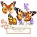 Watercolor Butterfly with Vibrant Orange Daisies for Craft Projects, butterfly clipart, watercolor daisies, floral illustration, DIY crafting, scrapbook paper,1573397426