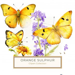 Vivid Watercolor Butterfly on Yellow Flowers - Digital Clipart, butterfly clipart, yellow flowers, watercolor art, digital scrapbook, floral clipart,1587576023