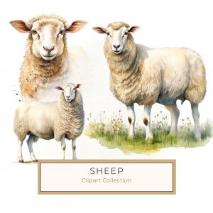 Rustic Watercolor Sheep Illustration for DIY Craft Projects, watercolor sheep, farmhouse animal illustration, DIY crafting, rustic decor art, country charm artwork,1587848317