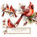 Watercolor Red Cardinal Bird on Branch - Nature-Inspired Digital Art for Crafts, watercolor cardinal, bird digital art, red bird clipart, nature craft supplies, rustic art elements,1588245161