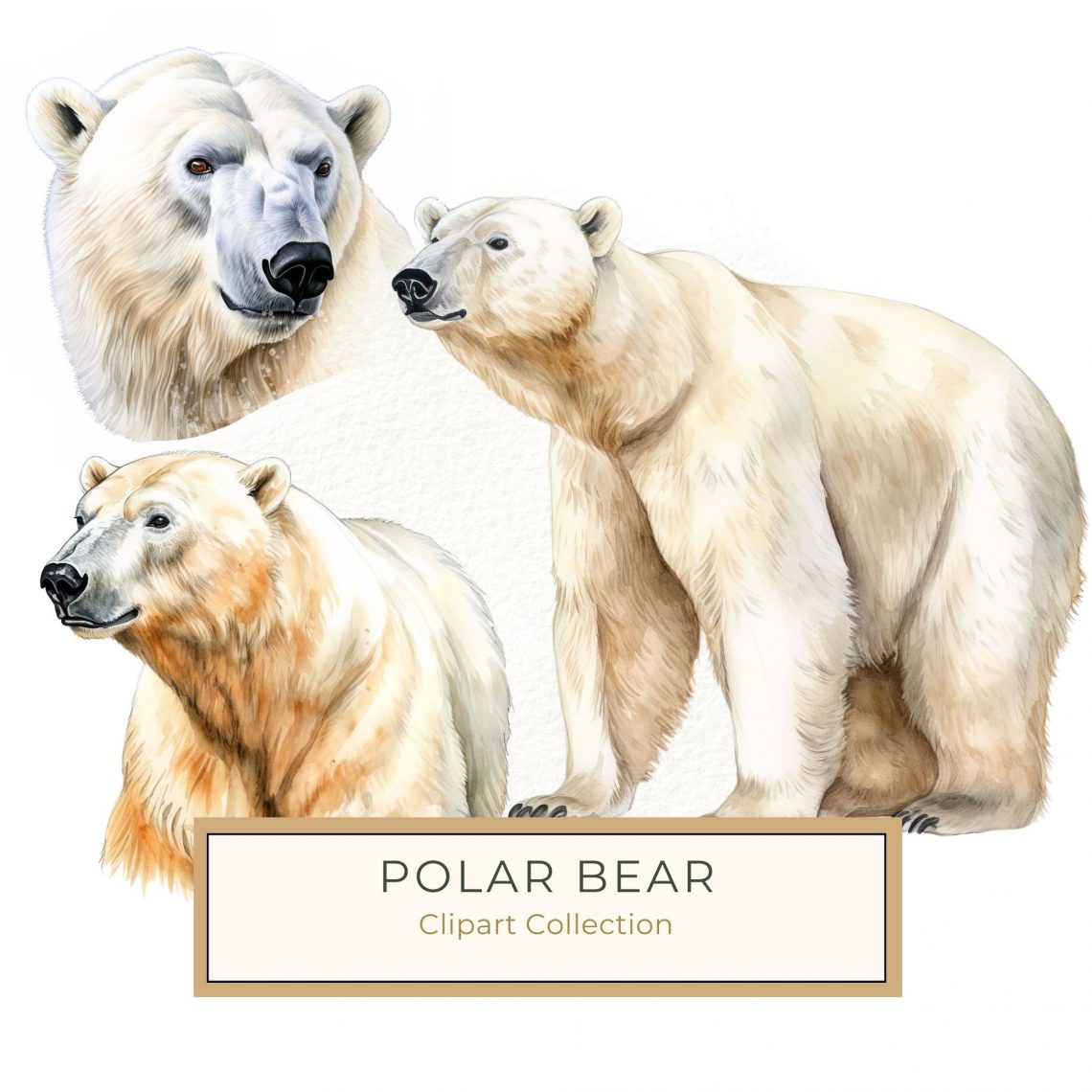 Watercolor Polar Bear Digital Art for Scrapbooking, Cards & Wall Art, polar bear art, watercolor animal print, wildlife clipart, nature digital paper, scrapbooking animal theme,1632022010