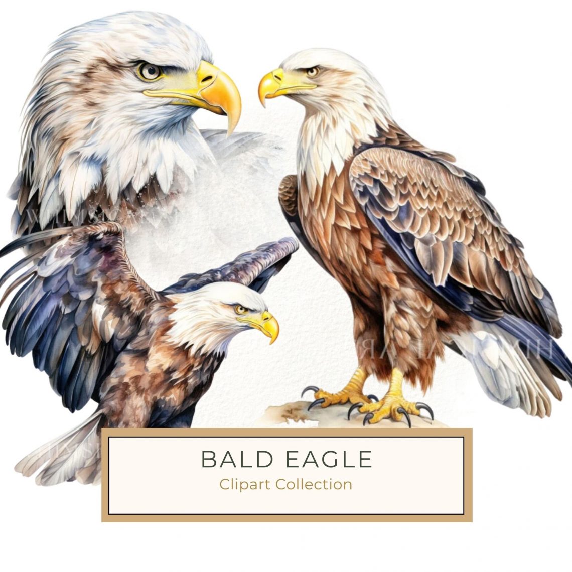 Majestic Bald Eagle Watercolor Illustration - Nature-Inspired Digital Print, bald eagle, wildlife art, watercolor style, bird illustration, digital print,1637484728