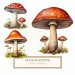 Watercolor Woodland Mushroom Clipart with Transparent Background, mushroom clipart, watercolor clipart, woodland design, nature graphics, toadstool art,1660517587