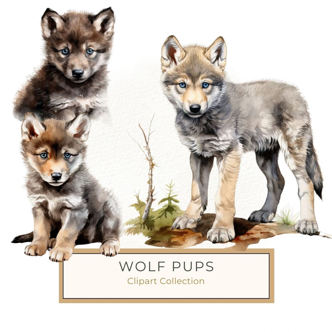 Adorable Watercolor Baby Wolf Illustration - Winter Woodland Digital Art, watercolor baby wolf, woodland animal art, digital wolf clipart, rustic nature decor, wildlife illustration,1660910265