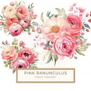 Watercolor Pink Ranunculus Flower Digital Clipart for DIY Crafts, watercolor flower, pink ranunculus, floral clipart, DIY crafts, digital download,1667796907