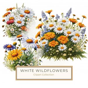 Watercolor Wildflowers Clipart - Daisies & Blossoms for Scrapbooking, DIY Crafts & More, watercolor flowers, wildflowers clipart, daisies graphics, floral digital art, DIY crafts,1693715710