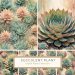 Watercolor Succulent Digital Paper - Pastel Botanical Backgrounds for Crafts, watercolor succulents, botanical digital paper, pastel craft background, succulent pattern, nature-inspired design,1718690419