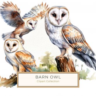 Elegant Watercolor Barn Owl on Branch - Perfect for DIY Crafts, barn owl, watercolor art, owl design, digital paper, nature clipart,1572749952