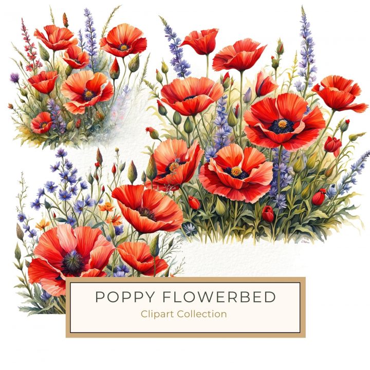 Vivid Watercolor Red Poppy Field with Wildflowers Clipart for DIY Projects, watercolor poppies, floral clipart, botanical artwork, DIY projects, digital paper,1693438554