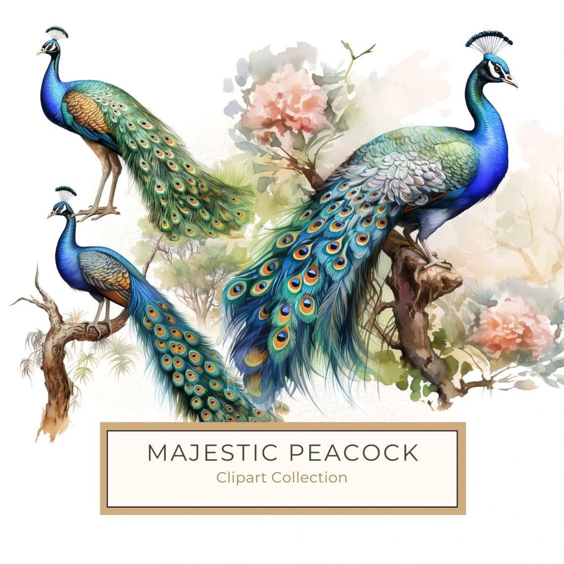 Elegant Watercolor Peacock with Floral Background Digital Paper, watercolor peacock, floral decor, digital paper, DIY crafts, nature clipart,1574073414