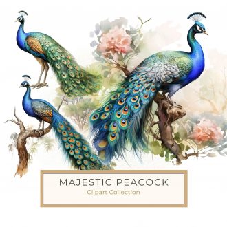 Elegant Watercolor Peacock with Floral Background Digital Paper, watercolor peacock, floral decor, digital paper, DIY crafts, nature clipart,1574073414