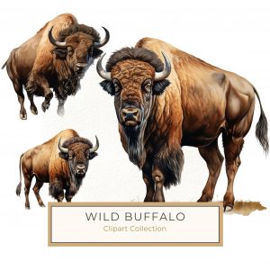 Watercolor Bison Digital Art for DIY Projects and Crafts, watercolor bison, nature clipart, wildlife art, rustic DIY, watercolor animal,1587835471