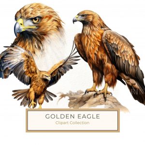 Majestic Watercolor Golden Eagle Illustration for Craft Projects, watercolor eagle, golden eagle art, nature illustration, wildlife clipart, rustic DIY crafts,1652579909