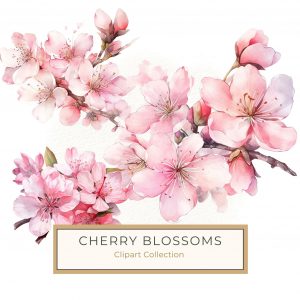 Watercolor Cherry Blossom Illustration for Crafting and Design, watercolor cherry blossom, pink floral clipart, elegant floral design, cherry blossom digital art, watercolor flowers,1638246198