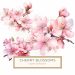 Watercolor Cherry Blossom Illustration for Crafting and Design, watercolor cherry blossom, pink floral clipart, elegant floral design, cherry blossom digital art, watercolor flowers,1638246198