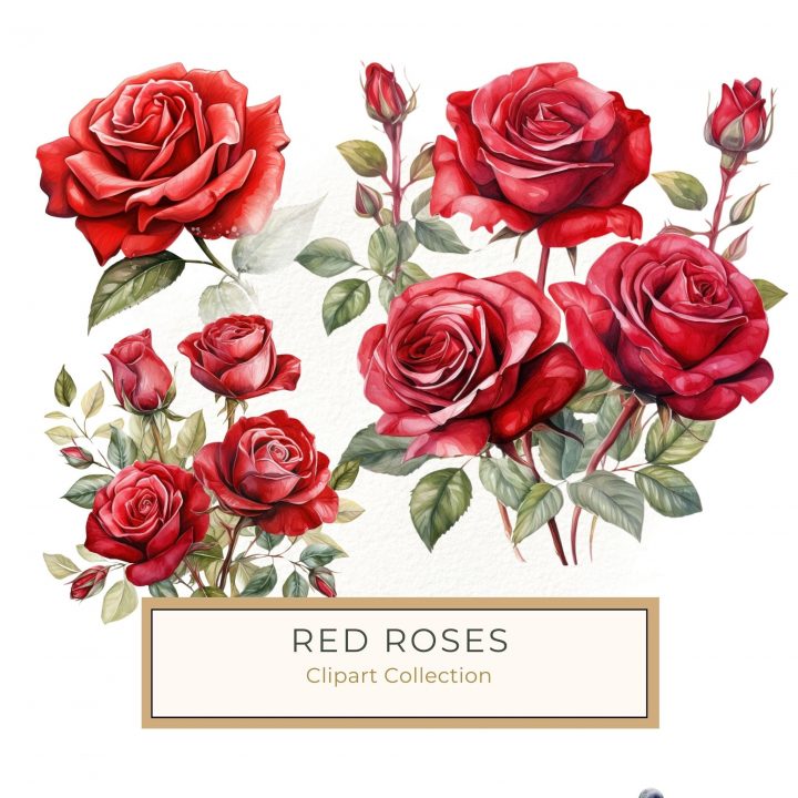 Vibrant Watercolor Red Rose Clipart - Perfect for DIY Crafts, watercolor rose, red rose clipart, floral clipart, diy crafts, elegant art,1542888448