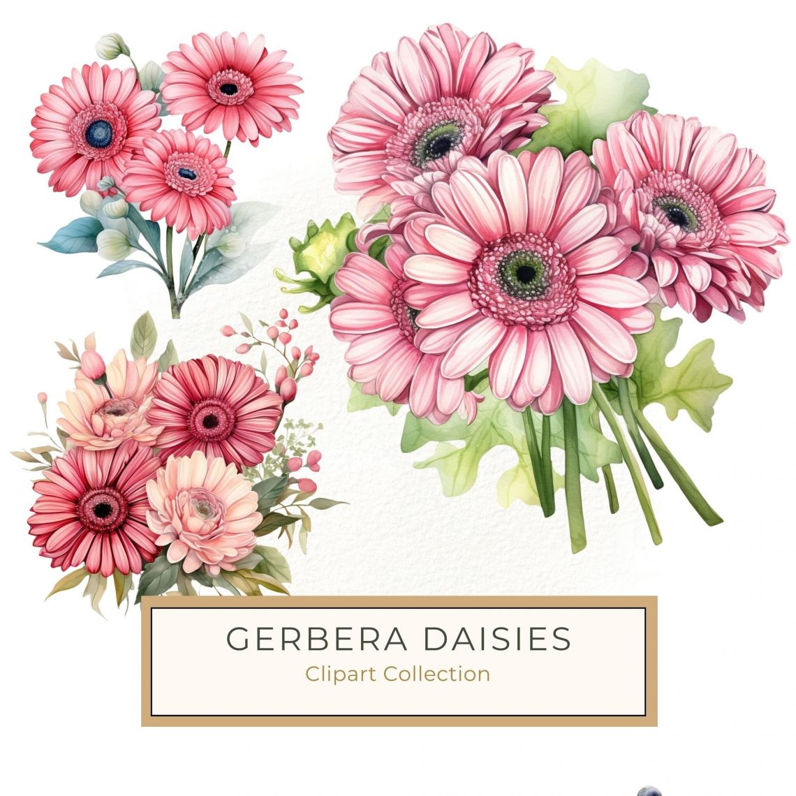 Pink Gerbera Daisy Watercolor Clipart - Vibrant Floral Digital Art for Crafting & Design, pink flowers, watercolor clipart, gerbera daisies, floral art, crafting supplies,1542816952